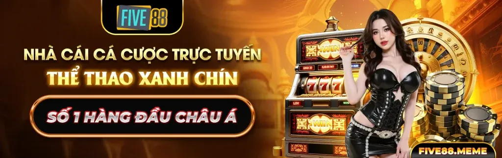 Trải Nghiệm Đá Gà Chân Thực